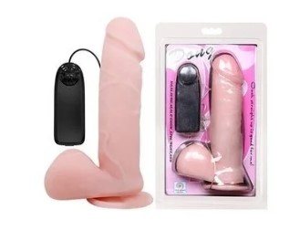 Vibro dong roto