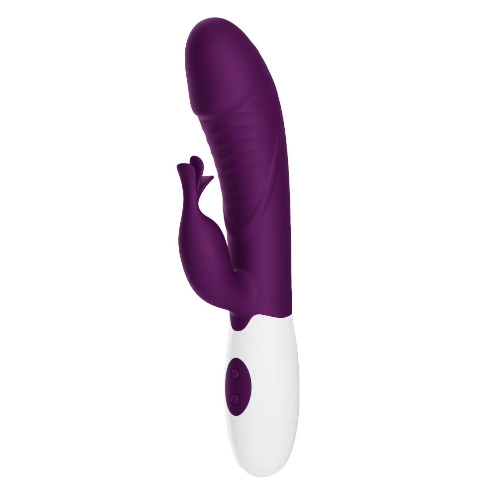 Rasmussen purple vibro